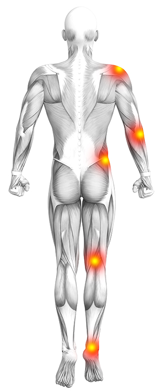 Clinique de soins musculaires